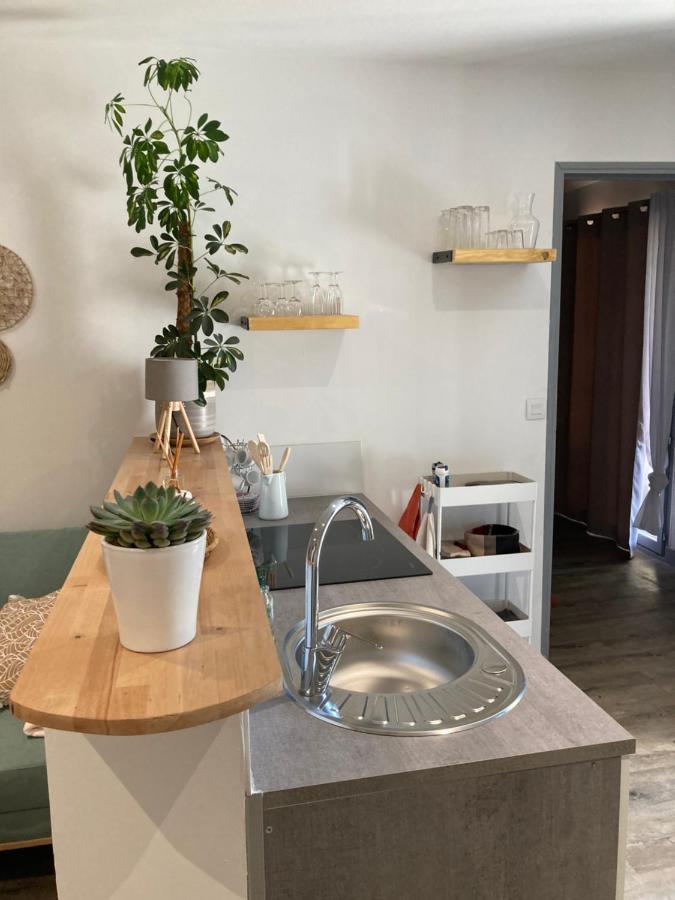 Bienvenue Chez Marie Pierre Apartamento Oloron-Sainte-Marie Exterior foto